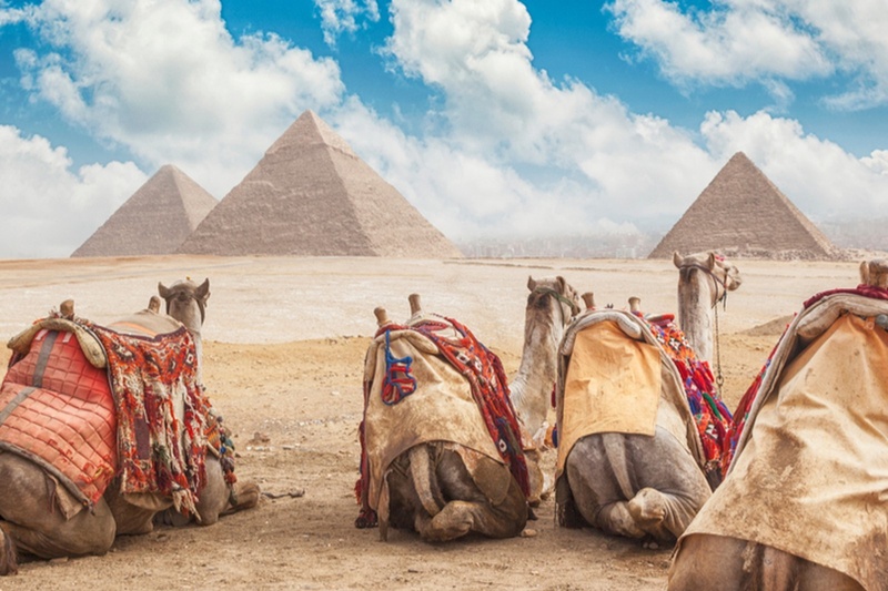 EGIPTO image